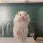 ヒメ日記 2025/06/10 23:33 投稿 体験なな ミセスコレクション