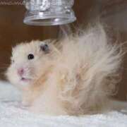 ヒメ日記 2025/06/11 08:13 投稿 体験なな ミセスコレクション