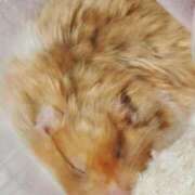 ヒメ日記 2025/06/11 12:04 投稿 体験なな ミセスコレクション