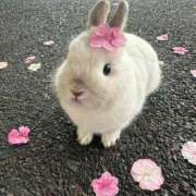 ヒメ日記 2025/06/11 19:23 投稿 体験なな ミセスコレクション