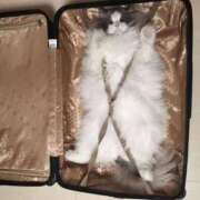 ヒメ日記 2025/06/12 01:23 投稿 体験なな ミセスコレクション