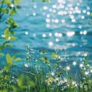 ヒメ日記 2025/06/13 12:04 投稿 体験なな ミセスコレクション