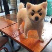 ヒメ日記 2025/06/15 01:03 投稿 体験なな ミセスコレクション