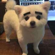 ヒメ日記 2025/06/15 18:13 投稿 体験なな ミセスコレクション