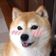 ヒメ日記 2025/06/16 08:03 投稿 体験なな ミセスコレクション