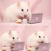 ヒメ日記 2025/06/16 18:03 投稿 体験なな ミセスコレクション