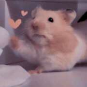 ヒメ日記 2025/06/17 08:13 投稿 体験なな ミセスコレクション