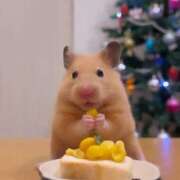 ヒメ日記 2025/06/17 12:05 投稿 体験なな ミセスコレクション