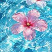 ヒメ日記 2025/06/17 22:53 投稿 体験なな ミセスコレクション