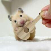 ヒメ日記 2025/06/17 23:00 投稿 体験なな ミセスコレクション