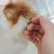 ヒメ日記 2025/06/18 20:13 投稿 体験なな ミセスコレクション