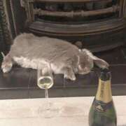 ヒメ日記 2025/06/19 00:43 投稿 体験なな ミセスコレクション