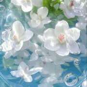 ヒメ日記 2025/06/19 08:03 投稿 体験なな ミセスコレクション