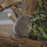 ヒメ日記 2025/06/19 12:04 投稿 体験なな ミセスコレクション