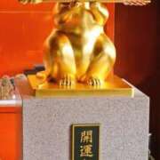 ヒメ日記 2025/06/19 20:23 投稿 体験なな ミセスコレクション