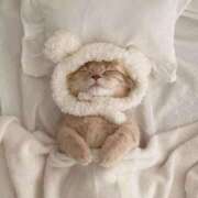 ヒメ日記 2025/06/20 20:26 投稿 体験なな ミセスコレクション