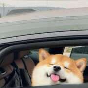 ヒメ日記 2025/06/21 08:13 投稿 体験なな ミセスコレクション