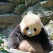 ヒメ日記 2025/06/21 12:22 投稿 体験なな ミセスコレクション