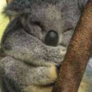 ヒメ日記 2025/06/22 02:23 投稿 体験なな ミセスコレクション