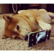 ヒメ日記 2025/06/23 12:04 投稿 体験なな ミセスコレクション