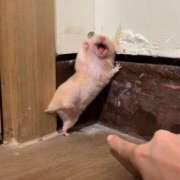 ヒメ日記 2025/06/24 01:03 投稿 体験なな ミセスコレクション