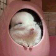 ヒメ日記 2025/06/24 08:13 投稿 体験なな ミセスコレクション