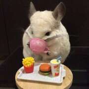 ヒメ日記 2025/06/24 18:13 投稿 体験なな ミセスコレクション