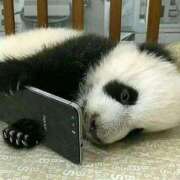 ヒメ日記 2025/06/25 12:09 投稿 体験なな ミセスコレクション