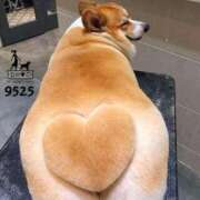 ヒメ日記 2025/06/25 19:43 投稿 体験なな ミセスコレクション