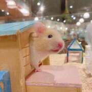 ヒメ日記 2025/06/26 20:44 投稿 体験なな ミセスコレクション