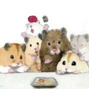 ヒメ日記 2025/06/26 21:03 投稿 体験なな ミセスコレクション