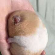 ヒメ日記 2025/06/27 00:53 投稿 体験なな ミセスコレクション