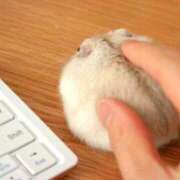 ヒメ日記 2025/06/28 12:11 投稿 体験なな ミセスコレクション