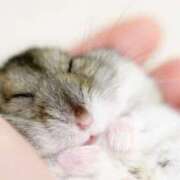 ヒメ日記 2025/06/30 08:03 投稿 体験なな ミセスコレクション