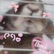 ヒメ日記 2025/07/02 01:13 投稿 体験なな ミセスコレクション