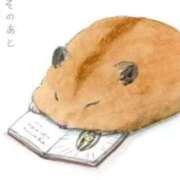 ヒメ日記 2025/07/02 02:33 投稿 体験なな ミセスコレクション