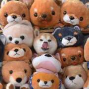 ヒメ日記 2025/07/03 01:43 投稿 体験なな ミセスコレクション