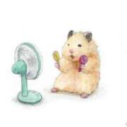 ヒメ日記 2025/07/03 08:13 投稿 体験なな ミセスコレクション