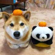 ヒメ日記 2025/07/03 12:05 投稿 体験なな ミセスコレクション