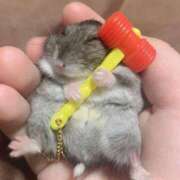 ヒメ日記 2025/07/04 01:23 投稿 体験なな ミセスコレクション