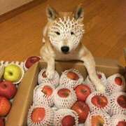 ヒメ日記 2025/07/04 08:03 投稿 体験なな ミセスコレクション