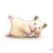 ヒメ日記 2025/07/05 08:13 投稿 体験なな ミセスコレクション