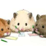 ヒメ日記 2025/07/07 08:13 投稿 体験なな ミセスコレクション