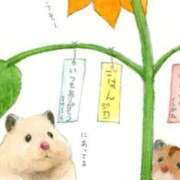 ヒメ日記 2025/07/07 12:22 投稿 体験なな ミセスコレクション