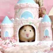 ヒメ日記 2025/07/08 00:43 投稿 体験なな ミセスコレクション