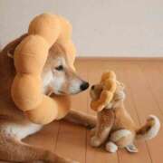 ヒメ日記 2025/07/08 00:53 投稿 体験なな ミセスコレクション