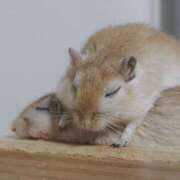 ヒメ日記 2025/07/08 08:13 投稿 体験なな ミセスコレクション