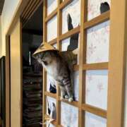 ヒメ日記 2025/07/09 00:33 投稿 体験なな ミセスコレクション