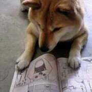 ヒメ日記 2025/07/09 08:03 投稿 体験なな ミセスコレクション