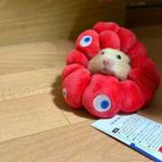 ヒメ日記 2025/07/09 12:04 投稿 体験なな ミセスコレクション